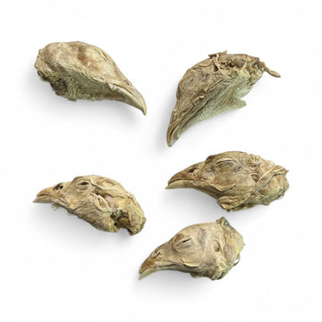 Freeze-Dried Pheasant Heads