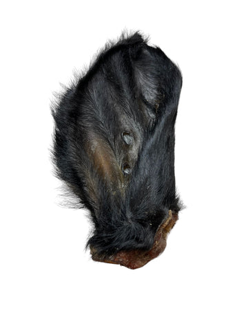 Dehydrated Furry Cow Ear