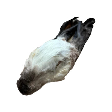 Dehydrated Furry Rabbit Head With Ears