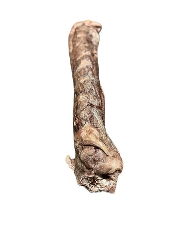 Freeze-Dried Turkey Neck