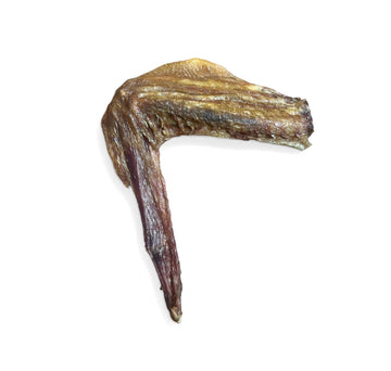 Dehydrated Duck Wing