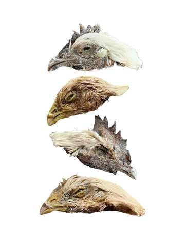 Dehydrated Feathered Chicken Heads
