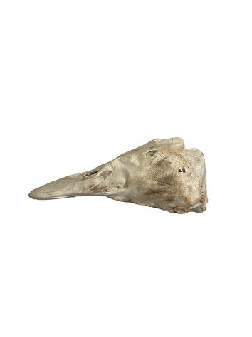Freeze Dried Duck Head