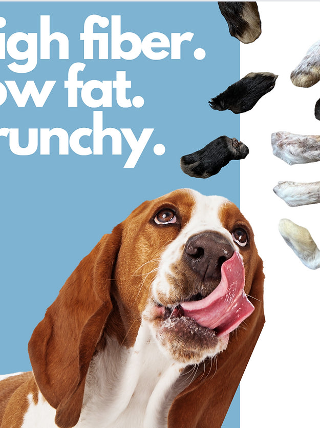 Dehydrated Furry Rabbit Feet Front Paws (Front Paws Only)