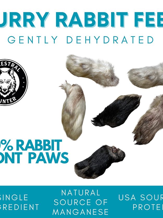 Dog Rabbit Feet Dehydrated Furry Rabbit Feet Front Paws (Front Paws Only) – Ancestral ...