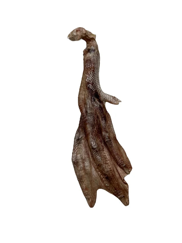 Freeze-Dried Duck Feet