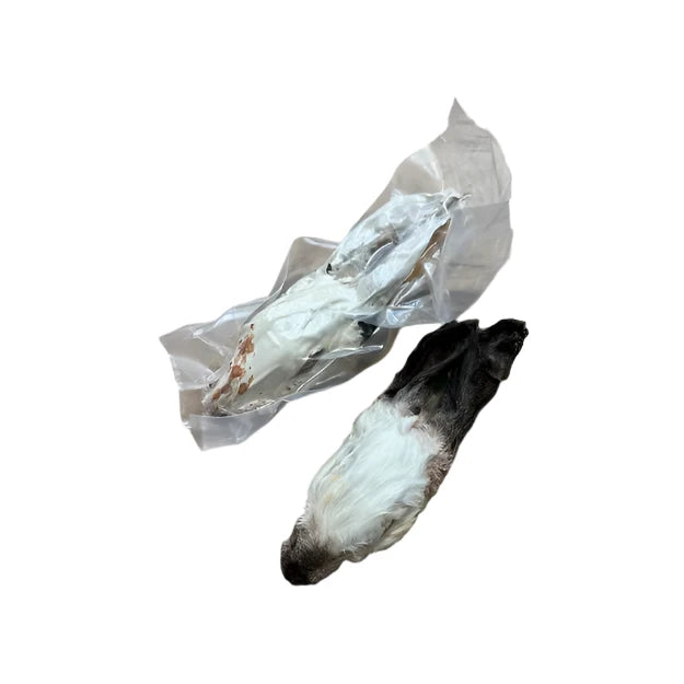 Dehydrated Furry Rabbit Head With Ears