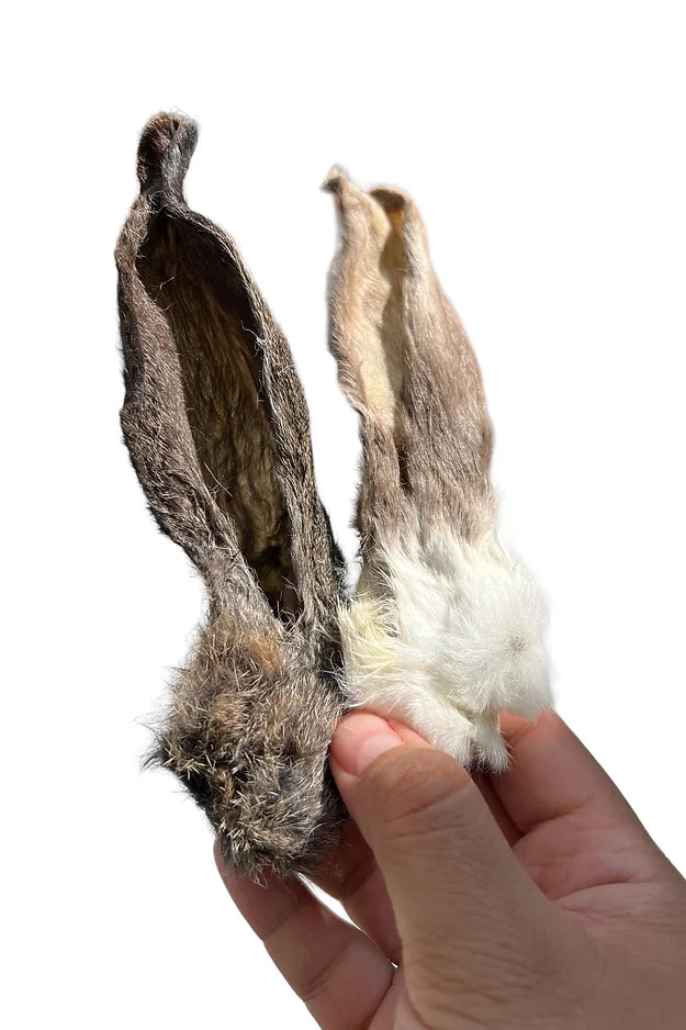 Dehydrated Furry Rabbit Ears – Ancestral Hunter