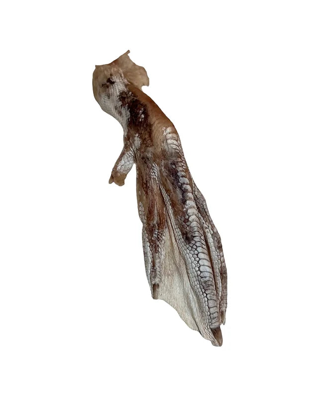 Freeze-Dried Duck Feet