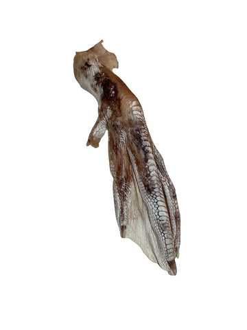 Freeze-Dried Duck Feet