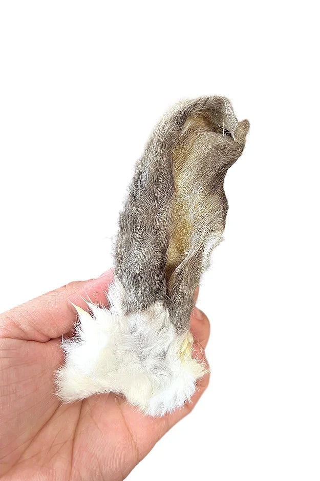 Dehydrated Furry Rabbit Ears