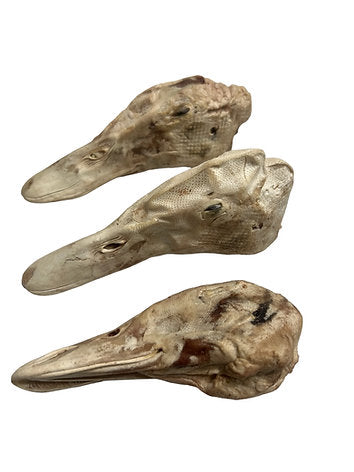 Freeze Dried Duck Head