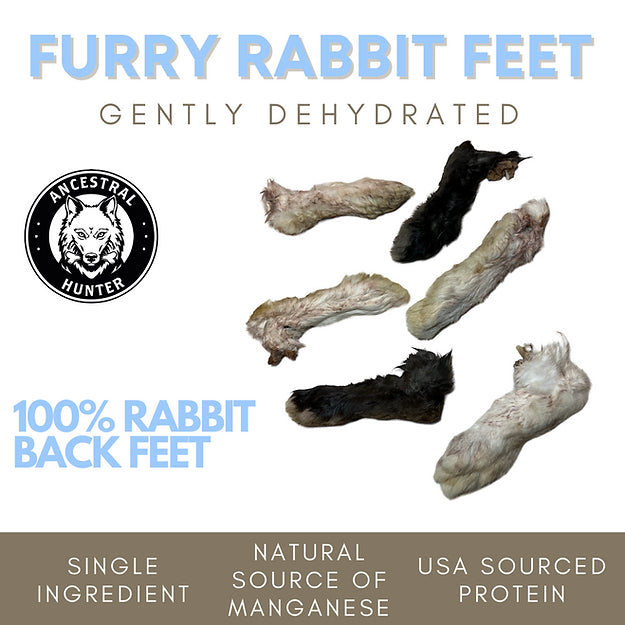 Dehydrated Furry Rabbit Back Feet (Back Feet Only) – Ancestral Hunter