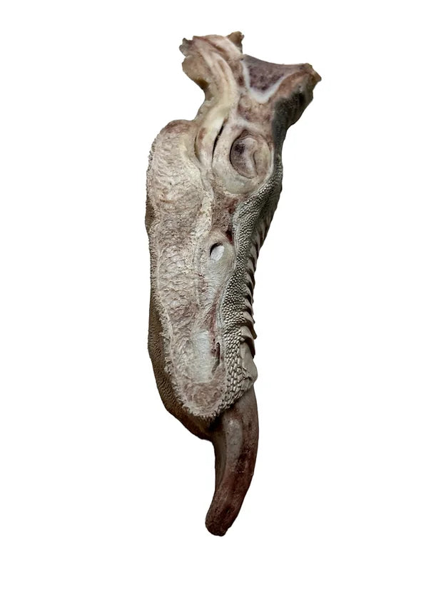 Freeze-Dried Ostrich Foot
