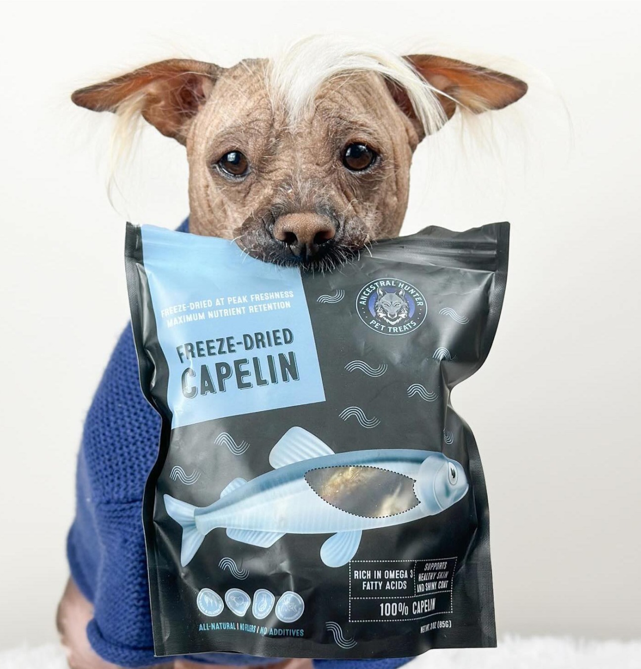 Freeze-Dried Capelin