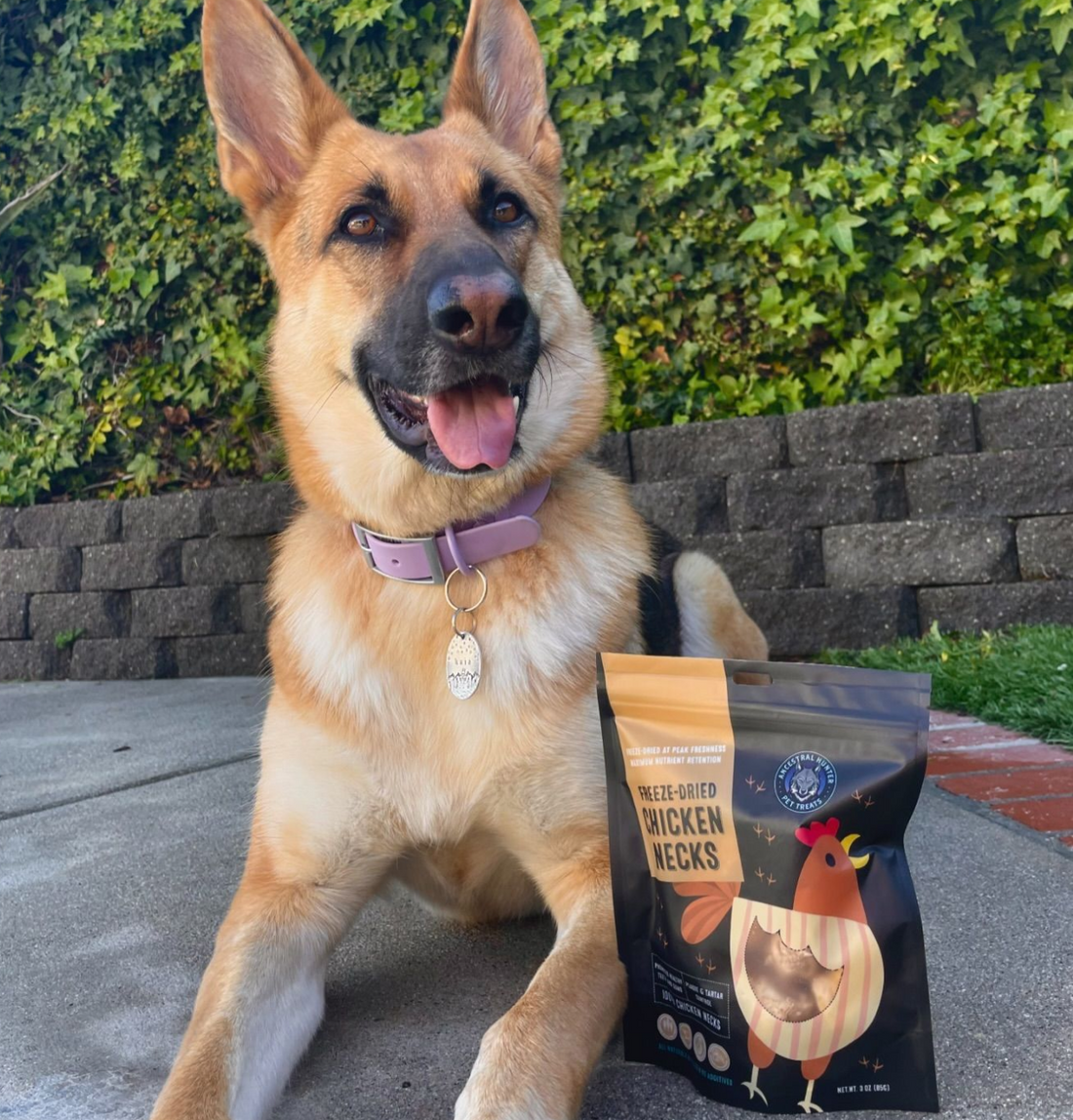 Dehydrated Whole Prey Quail Chicks XS Day Old Hatchling