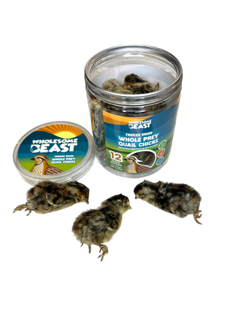 Freeze Dried Whole Prey Quail Chicks- Wholesome Beast